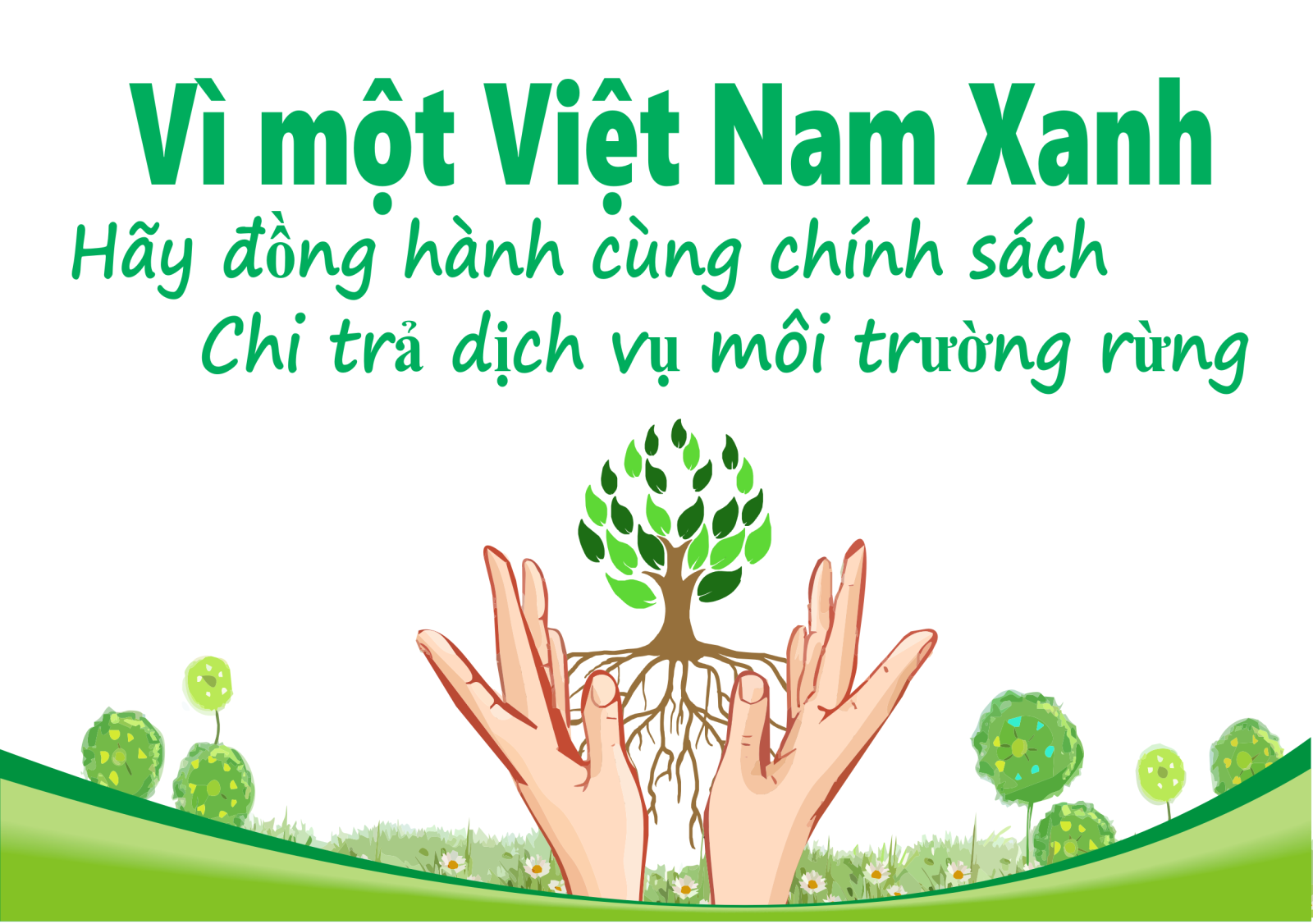 Hình ảnh hoạt động