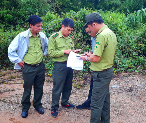 Kiểm tra, rà soát xác định diện tích rừng cung ứng dịch vụ môi trường rừng năm 2019 của Xí nghiệp Phú Thịnh