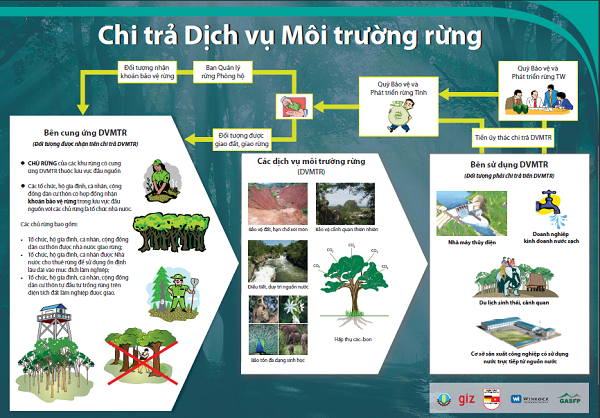 Quy trình chi trả dịch vụ môi trường rừng tại Việt Nam